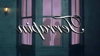 Clairo - Terrapin (Reversed Music Video)