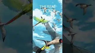 Discover The Real Story of Jesus! #ibible  #bibletranslation