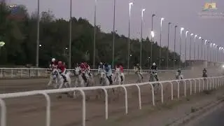 الاجتماع (18) الشوط (7) الجواد / مياس اصلان / المالك / محسن فهد الشملان