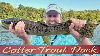 August 13, 2025 Arkansas Trout Fishing Report