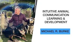 Intuitive Animal Communication Learning and Development