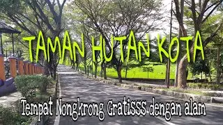 TAMAN HUTAN KOTA cigembor 
