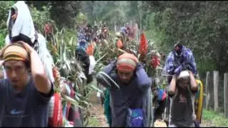 LOS FLOREROS DE CHIAPA DE CORZO. La flor de Niluyarìlu.GIOVANNA NUÑEZ.