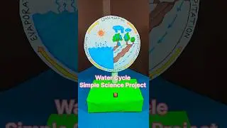 Water Cycle Simple Science Project for Short Video ❤️ #scienceproject #diy #shorts