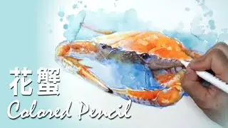 水性色鉛筆示範《花蟹》- 王文詵