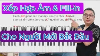 Dạy Xếp Hợp Âm & Fill In Piano Cho Người Mới Bắt Đầu 🎹