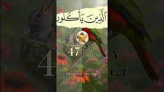 Page 47 Learn This Whole Page With Calm and Clarity #QuranSteps #SpiritualGrowth