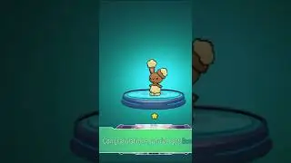 petmon world 10x spin