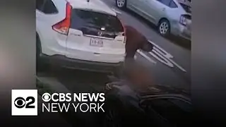 NYPD arrests man accused of setting dog on fire in Queens