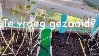 Ini's Moestuin #217 Vorst in Zuid Frankrijk, te vroeg gezaaid? En vorstschade in de moestuin?