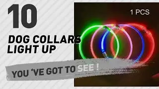 Dog Collars Light Up // Top 10 Most Popular