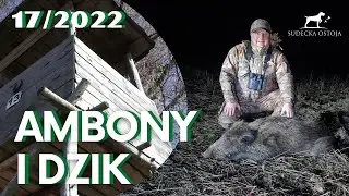 SUDECKA OSTOJA 17/2022 Ambony i polowanie na dziki z Mariuszem