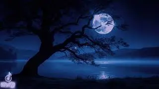 Serenity Now: Calming Sounds for Stress Relief #sleepsounds #relaxing