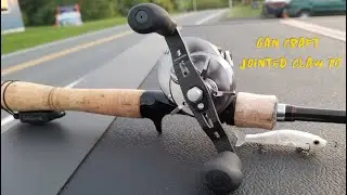 BFS Fishing Challenge 30 mins. Using a $30 Micro swimbait Lure!!
