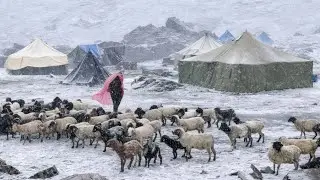 Surviving shepherds life in One of The Coldest regions of Nepal || A snowy Freezing winters  Daily.