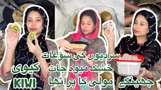 Winter Special Foods | Kiwi, Radish, Mooli Paratha, Prawns & Dry Fruits