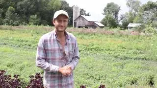 Sacred Blossom Farm Tour (Long)