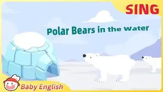 Polar Bears in the Water | Fun to Sing | Baby English | Wild Animals