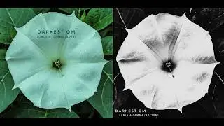 DARKEST OM - 