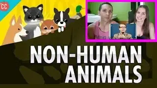 Non-Human Animals: Crash Course Philosophy | REACTION