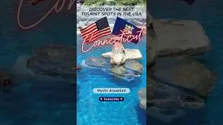 The best tourist attractions in the USA &ndash; Connecticut &ndash; Mystic Mystic Aquarium