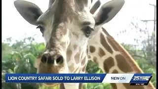 Billionaire Larry Ellison purchases Lion Country Safari