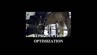 Precision Livestock Farming (PLF)