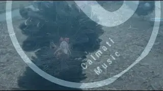 Autumn Walk by Alexander Nakarada (CreatorChords)         | 𝐜𝐚𝐥𝐦 𝐩𝐥𝐚𝐲𝐥𝐢𝐬𝐭 𝐭𝐨 𝐫𝐞𝐥𝐚𝐱 |   Calmati Music