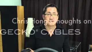 Chris Hong's GECKO TRUTH Series audiophile cables experience