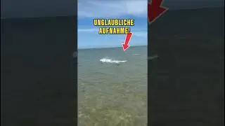 Dieser Rochen entkommt einem Hai &ndash; unfassbar! 🦈⚡