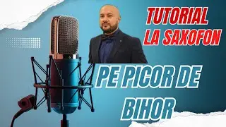 Pe Picior de Bihor - Tutorial La Saxofon