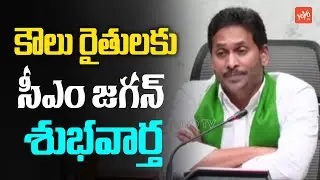 శుభవార్త: CM Jagan Good News To Tenant Farmers | Rythu Bharosa | YSRCP Vs TDP |Jagan Speech |YOYO TV