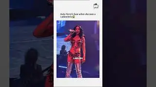 Celebs crazy reactions when gifted LABUBU by fans 😅