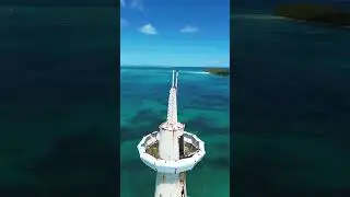 Coral World 🌎 Nassau,Bahamas 🇧🇸