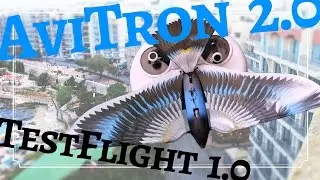 #71 ✈ Avitron 2.0 First Test Flight - Bionic Bird