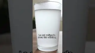 Sal C&eacute;ltica Marina con 82+ Minerales de Breta&ntilde;a Francia