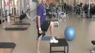 Squat, Step ups, Physioball ham curls