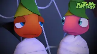 Mess-ter of Ceremonies 🪩🤪 + More | Antiks | Fun Adventure Friends #Shorts | Cartoons For Kids