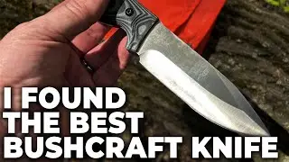 Best Budget BUSHCRAFT Survival Knife for 2023 | Amazon Favorite!