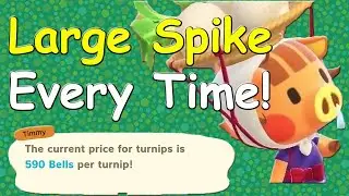 How To Get A Large Turnip Spike Every Week in Animal Crossing New Horizons!!
