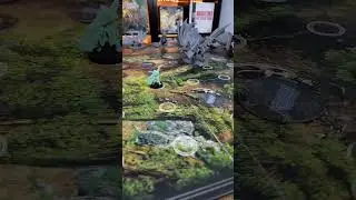 Monster Hunter World the Board Game