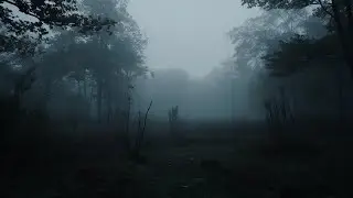 Scary Reddit Stories- Trailer Park Film Roll