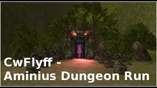 CwFlyff Aminus Dungeon Run Livestream