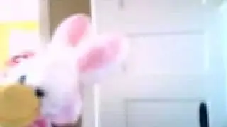 Mister McDoodle