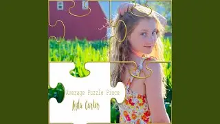 Average Puzzle Piece