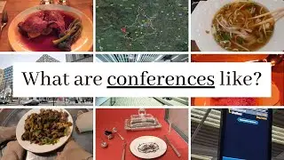 PhD Summer Schools: What are they like? What do you do?