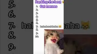 Ranking The Best Cat Memes 2025 #catmemes #2025 #viral #trending #trendingshorts #viralcatmeme