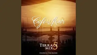 Terrace Mix 5 (Continuous Mix)