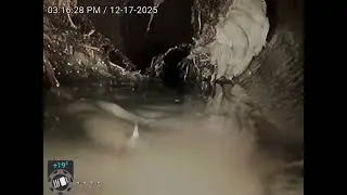 Estrella Ave-inspection showing root intrusion