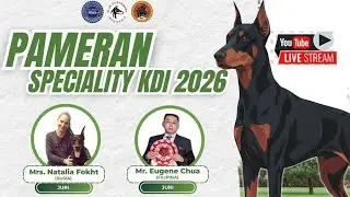 Pameran Anjing Dobermann - Klub Dobermann Indonesia